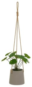 Sztuczna roślina (wysokość 24 cm) Pilea – Casa Selección