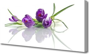 Zdjęcie na płótnie Botaniczny Ogród Kwiatowy