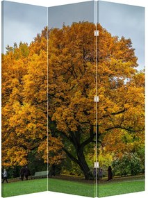 Parawan - Drzewo (126x170 cm)