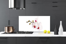 Panel Szklany Botaniczna Elegancja Storczyka