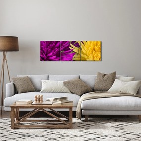 Obraz - szczegóły kwiatów (z zegarem) (90x30 cm)