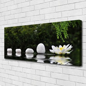 Zdjęcie na płótnie Lilia Wodna na Jeziorze