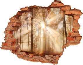 Dziura 3d w ścianie naklejka Mgła w lesie jesień