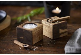 Solniczka i pieprzniczka – Holm