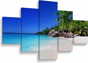 Obraz plaży na wyspie Praslin (125x70 cm)
