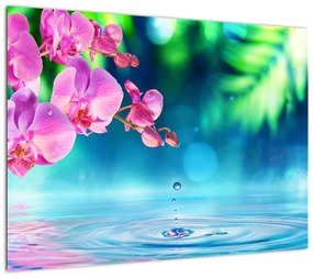 Obraz - Orchidea (70x50 cm)