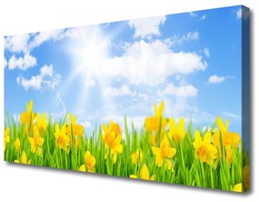 Obraz Canvas Żonkile Łąka Trawa Natura