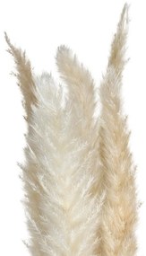 Ozdobne źdźbło z trawy pampasowej, 6 szt., 65 cm