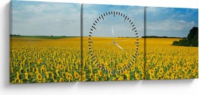 Obraz - ciąg słoneczników (z zegarem) (90x30 cm)