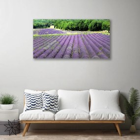 Obraz na płótnie Kolorowa Łąka na Płótnie