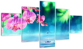 Obraz - Orchidea (125x70 cm)