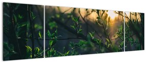 Obraz słońca przeświecającego przez gałęzie drzew (170x50 cm)