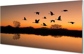 Szkło do Kuchni na Ścianę Lot Ptaków o Zachodzie Słońca