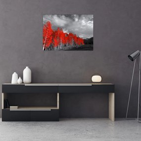Obraz - Drzewa w kolorze jesieni (70x50 cm)