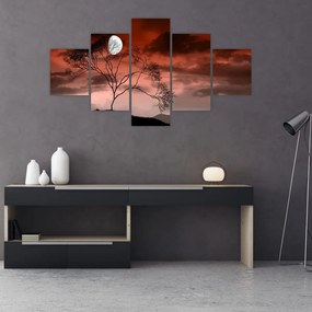 Obraz - Księżyc oświetlający noc (125x70 cm)