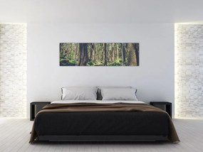 Obraz ścieżki pomiędzy drzewami (170x50 cm)