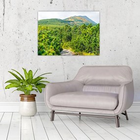Obraz - Babia Góra, Polska (70x50 cm)