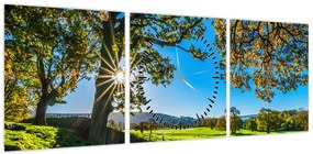 Obraz - widok pola (z zegarem) (90x30 cm)