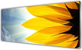 Panel Szklany do Kuchni Delikatne Płatki Kwiatowe