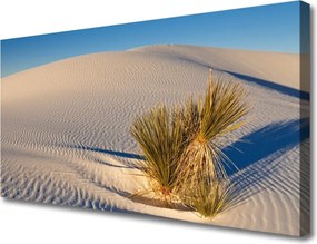 Obraz na płótnie Piaszczysty Pejzaż Pustynny
