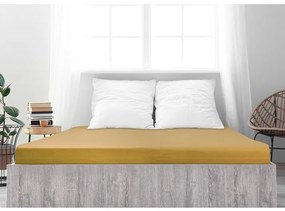 4Home prześcieradło jersey Ideal musztardowy, 100 x 200 cm, 100 x 200 cm