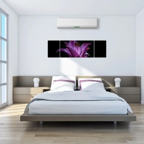 Obraz lilii (170x50 cm)