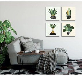 Obrazy zestaw 4 szt. 30x30 cm Plants – Wallity
