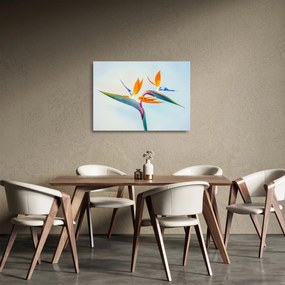 Obraz na szkle kwiatu Strelicji (70x50 cm)
