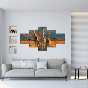 Obraz - Żyrafy na pastwisku (125x70 cm)