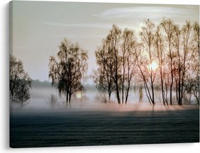Obraz - Poranna suchość (70x50 cm)