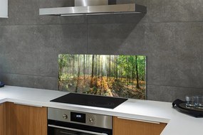 Panel szklany do Kuchni Klasyczny Las Brzozowy