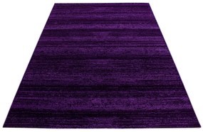 Dywan nowoczesny Plus fioletowy 160 cm x 230 cm