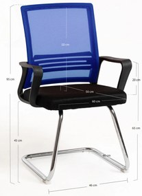 Pewny siebie Krzeso Kole