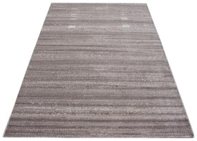 Beżowy dywan 160x230 cm Plus – Ayyildiz Carpets