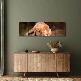 Obraz - Lis w lesie (170x50 cm)
