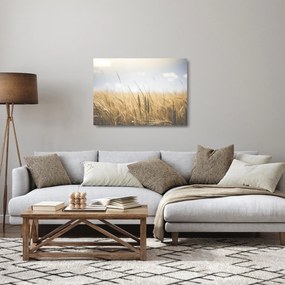 Obraz na szkle ziarna (70x50 cm)