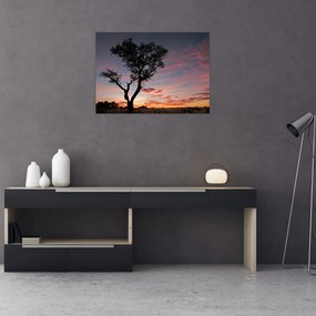 Obraz - Drzewo i czerwonawe odcienie (70x50 cm)