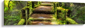 Obraz schodów w deszczowym pralesie (170x50 cm)