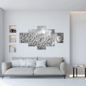 Obraz - Beżowa miękka trawa N⁰1 (125x70 cm)