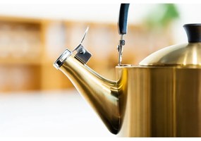 Czajnik ze stali nierdzewnej w kolorze złota 1,5 l Diamante – Vialli Design