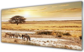 Panel Kuchenny Zebry Na Afrykańskiej Sawannie