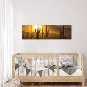 Obraz - Kaktusy Saguaro (170x50 cm)