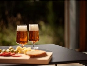 Szklanki do piwa zestaw 2 szt. 300 ml Rocks – Zone