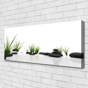 Zdjęcie na płótnie Kamienie w Soczystej Trawie