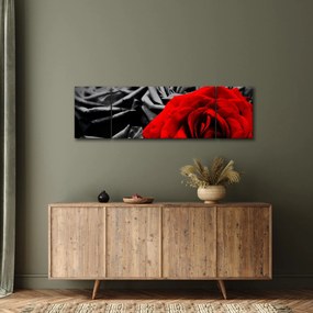 Obraz - Kwiaty róży (170x50 cm)