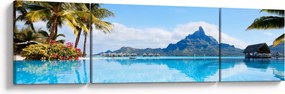 Obraz - Palmy i plaże (170x50 cm)