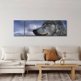 Obraz - Głowa wilka (170x50 cm)