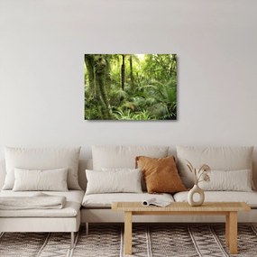 Obraz na szkle tropikalnego lasu deszczowego (70x50 cm)