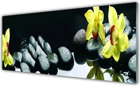 Panel Kuchenny Egzotyczny Kwiat Orchidei