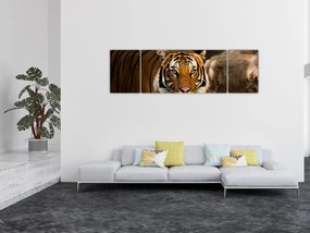 Obraz tygrysa (170x50 cm)